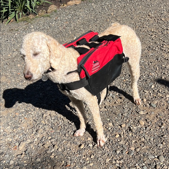 Dog Backpack - Picture 3 of 16